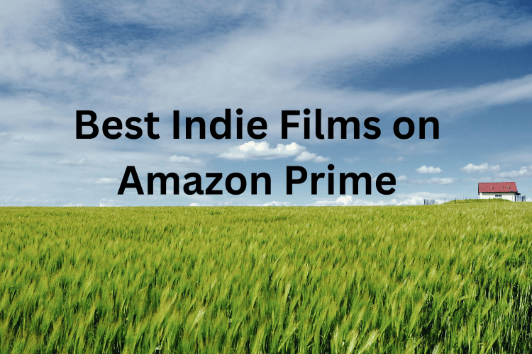 Indie Films on Amazon Prime