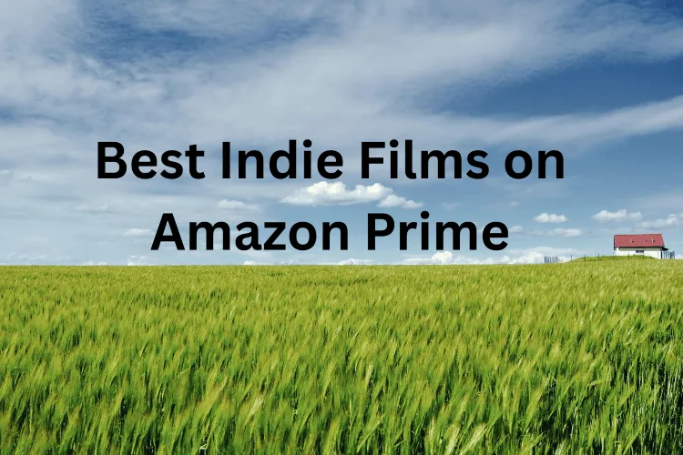 Indie Films on Amazon Prime