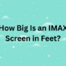 How Big Is an IMAX Screen in Feet